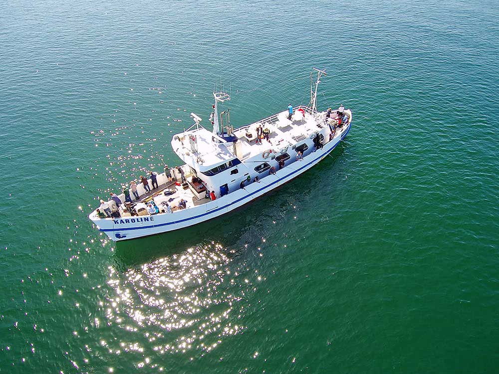 MS Karoline